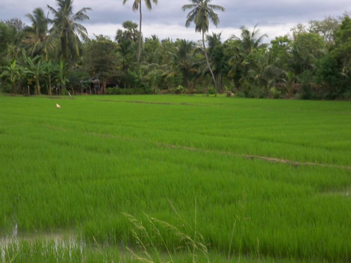 The Green View Yala Tissamaharama Exterior photo
